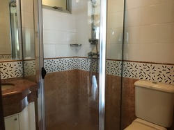 Sunshine Plaza (D7), Apartment #174676232